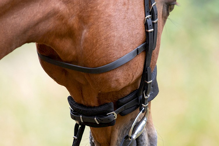 Cheval Ami – Equitrense® CLASSIC