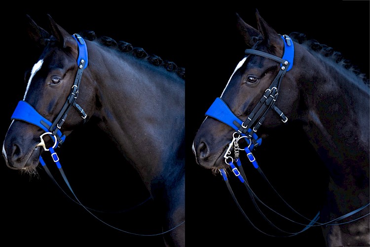 Cheval Ami – Equitrense® CLASSIC