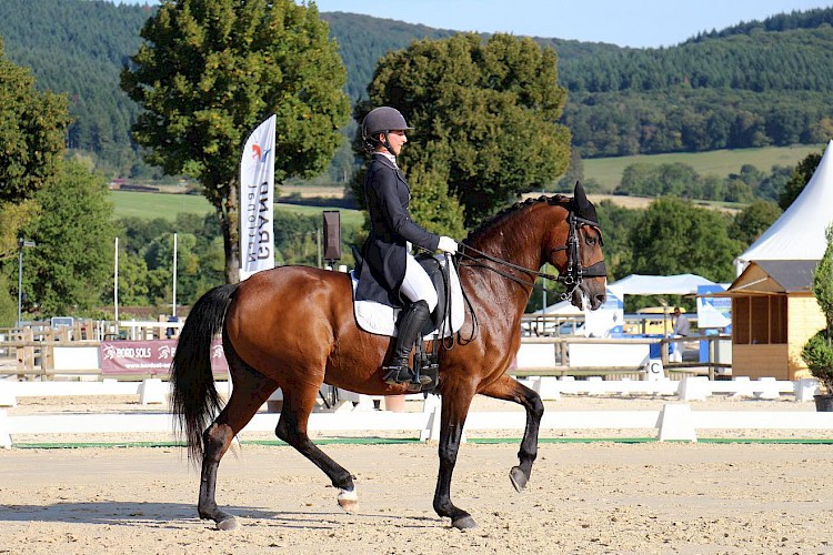 Cheval Ami – Equitrense® CLASSIC