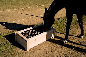 Cheval Ami – Oaken Haybox