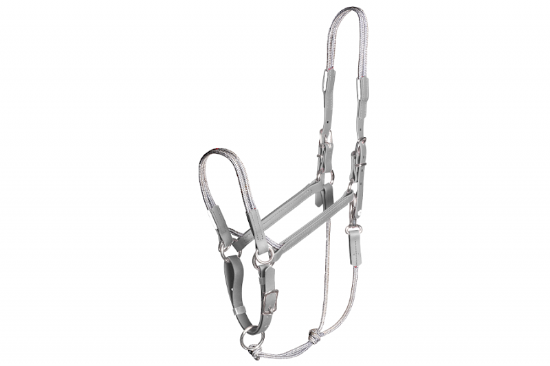 Cheval Ami – Taomero®