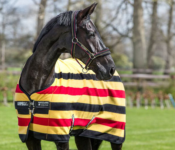 Coolers and Travel Rugs