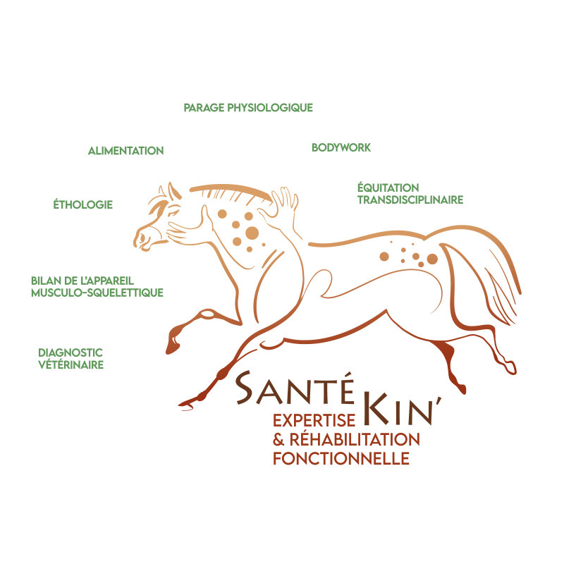 Partner: Equine Care Centre SantéKin\' - 