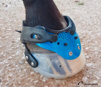 Floating Boots Trainer 2019 SPORT M2W-XL - einzelner Schuh