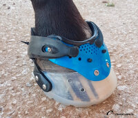 Floating Boots Trainer 2019 SPORT M3-L - une seule hipposandale