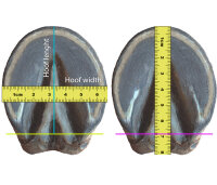 Hoofboots • Floating Boots Trainer 2019 SPORT P0-S - Pair with two boots