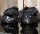 Floating Boots Trainer 2019 ENDURANCE P1-L - Paar mit zwei Schuhen