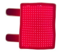 Pad de Luminothérapie LED Nordian pour les membres Une paire de deux Pads de Luminothérapie Nordian pour les membres