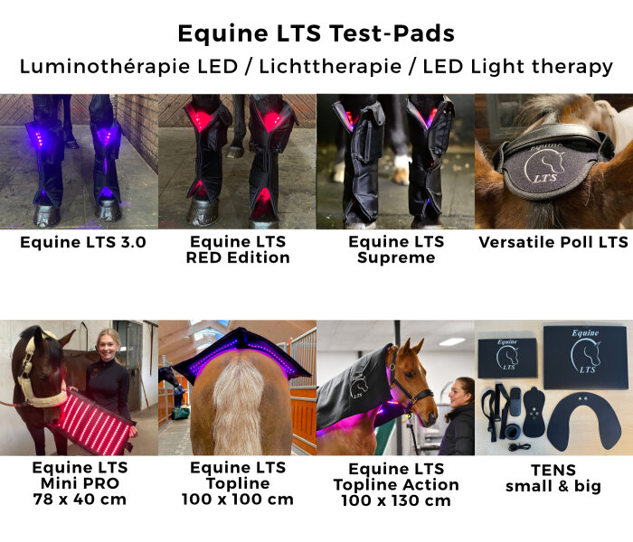 Equine LTS Lichttherapie zum Ausleihen