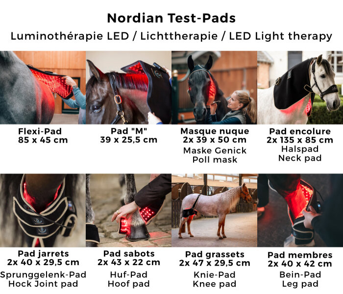 Nordian Lighttherapy for rent