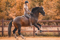 LaBona DRESSAGE II Brown leather