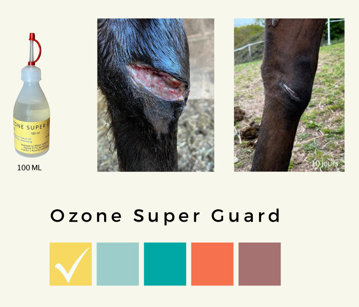 Ozone Super Guard (Saturated ozonated oil by 067)