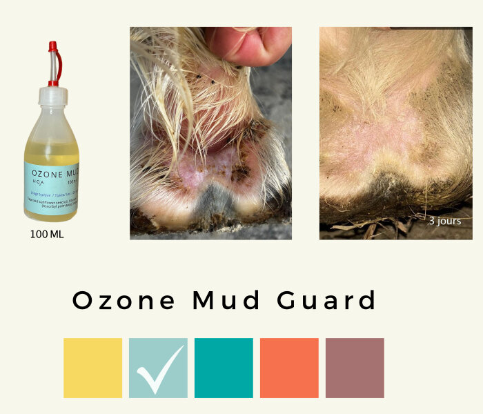 Ozone Mud Guard (Huile ozonée, 30%)