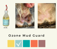 Ozone Mud Guard (Ozonated oil, 30%)