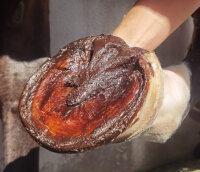 067 HOOF Fluid