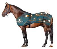 Bemer couverture cheval