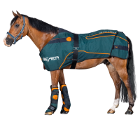 Bemer Horse-Set