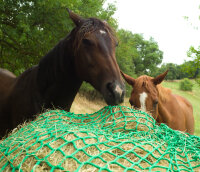 Haynet for Round bales Type 2 Size "M" ( Ø 1m50 + length of sides 2m30)-Mesh 45 mm / PP 5 mm-Green