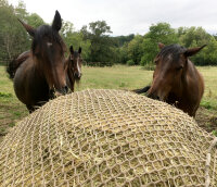 Heunetz // Rundballen Typ 2 Größe "M" ( Ø 1m50 + Seitenlängen 2m30)-Maschen 60mm / PP 5mm-Schwarz