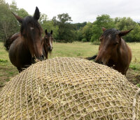 Haynet for Round bales Type 2 Size "L" ( Ø 1m70 + length of sides 2m60)-Mesh 60 mm / PP 5 mm-Green