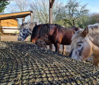 Haynet // Big square bales Size "XL" ≙ L 3m00 x W 1m40 x H 1m40-Mesh 30 mm / PP 4 mm-Green