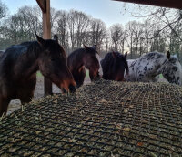 Haynet // Big square bales Size "XL" ≙ L 3m00 x W 1m40 x H 1m40-Mesh 45 mm / PP 5 mm-Black