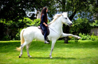 LaBona PRO Black leather-Wide