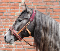 Sangles "Bitless Bridle"