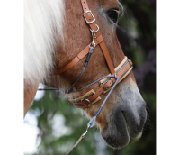 Sangles "Bitless Bridle"