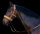 Sangles "Bitless Bridle"
