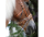 Sangles "Bitless Bridle"