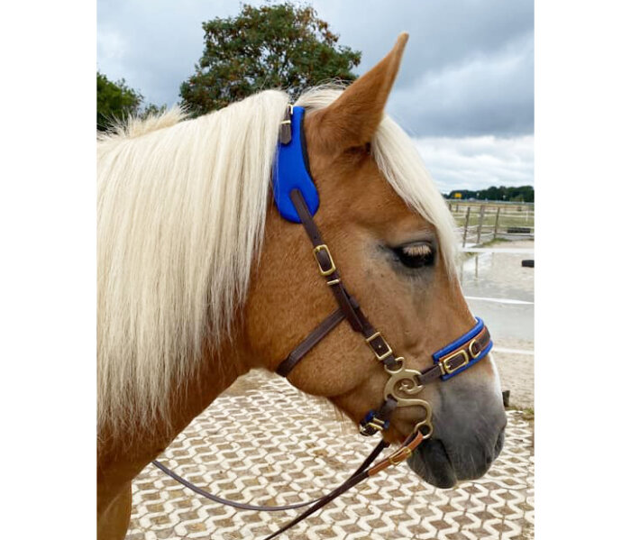 Hackamore natural de Pat - Parelli Natural Horsemanship