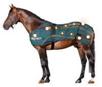BEMER for rent (Horse)
