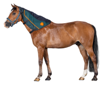 BEMER for rent (Horse)