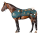 BEMER for rent (Horse)