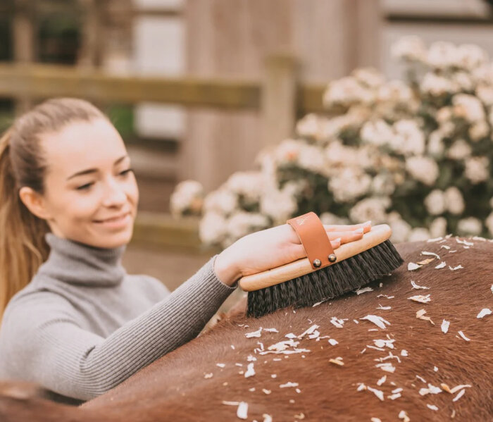 Brosse dure HARRIET