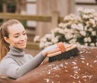 Brosse dure HARRIET