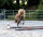 Duplo Classic PONEY // Paire