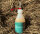 067 Ozone Skin Guard - Ozonisiertes Hautpflegeöl