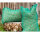 Size „S“ // PP 5mm // Mesh 38mm // 0m90 x 1m10 // Opening short side GREEN