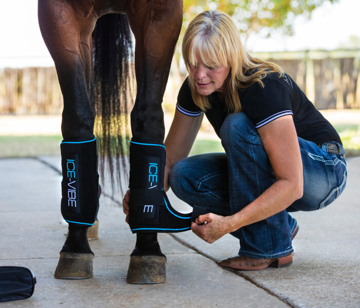 Guêtre Horseware Ireland Ice-Vibe - Noir/Aqua Avec LED - Taille Full - Neuf