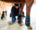 Horseware® Ice-Vibe® Boots