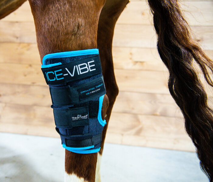 Horseware® Ice-Vibe® Hock Wraps (Sprunggelenk)