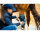 Horseware® Ice-Vibe® Hock Wraps (Sprunggelenk)