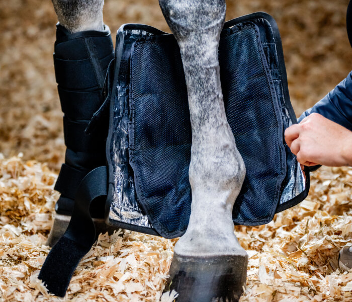 Horseware® Ice Gel Stallgamaschen Black-Full