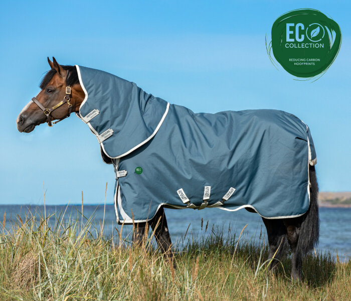 Amigo® Imperméable AmEco 12 Plus Turnout 0 g Bleu sarcelle / Gris-Longueur du dos 155 cm (C-D) / Longueur du corps 206 cm 81” (A-B)