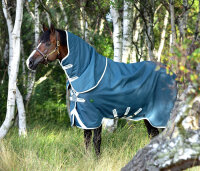 Amigo® Imperméable AmEco 12 Plus Turnout 0 g Bleu sarcelle / Gris-Longueur du dos 155 cm (C-D) / Longueur du corps 206 cm 81” (A-B)