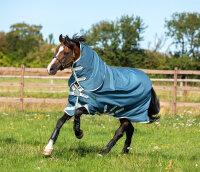 Amigo® Imperméable AmEco 12 Plus Turnout 0 g Bleu sarcelle / Gris-Longueur du dos 155 cm (C-D) / Longueur du corps 206 cm 81” (A-B)