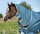 Amigo® Imperméable AmEco 12 Plus Turnout 0 g Bleu sarcelle / Gris-Longueur du dos 155 cm (C-D) / Longueur du corps 206 cm 81” (A-B)