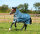Amigo® Imperméable AmEco 12 Plus Turnout 0 g Bleu sarcelle / Gris-Longueur du dos 155 cm (C-D) / Longueur du corps 206 cm 81” (A-B)